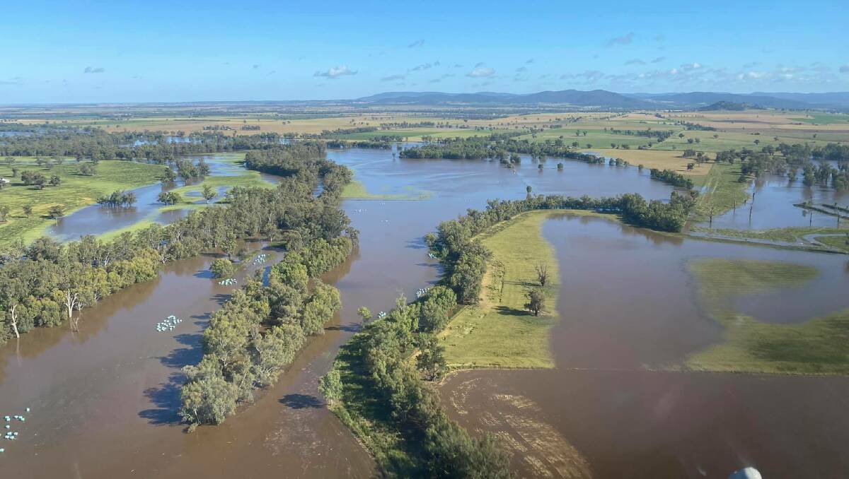 Police rescue two boys from flooded river at Condobolin - Forbes Advocate