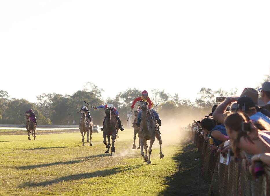 Camel racing draws a crowd to Forbes on Good Friday.