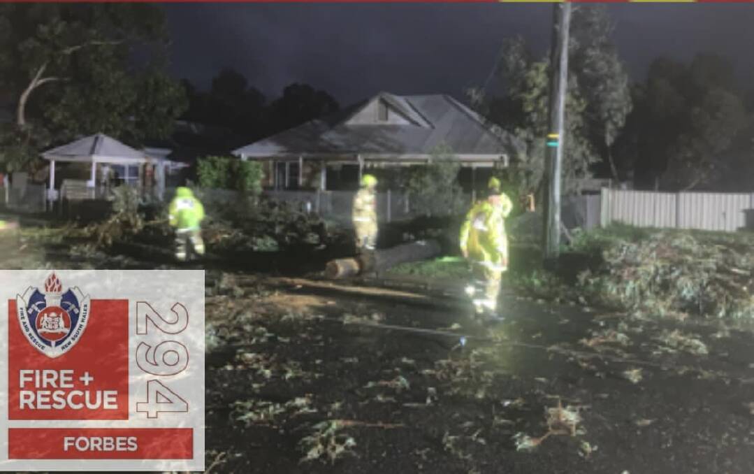 Fire and Rescue NSW Forbes also responded to this call after a falling tree downed a powerline. Picture by FRNSW Station 294 Forbes on Facebook