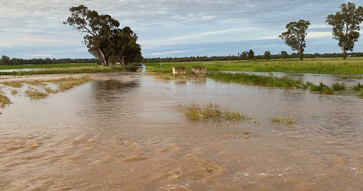 2022 Forbes floods: Lachlan River peak approaching Cottons Weir with major flooding