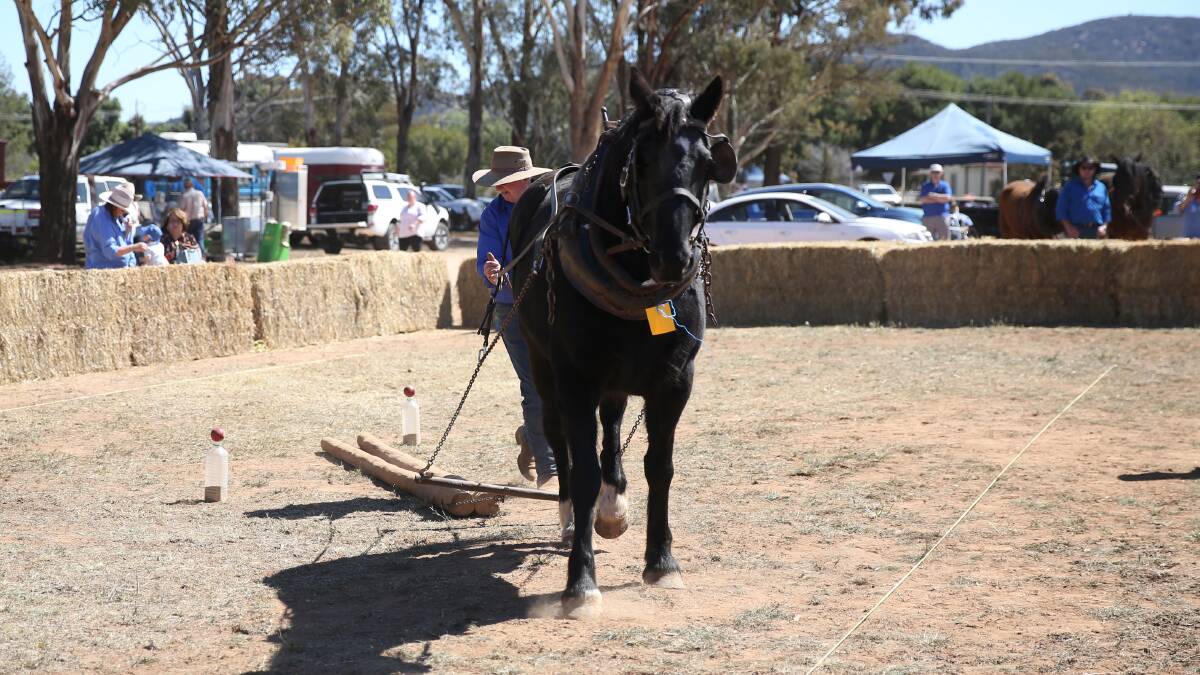 Eugowra Showground a hive of activity, planning to begin for 2021 event