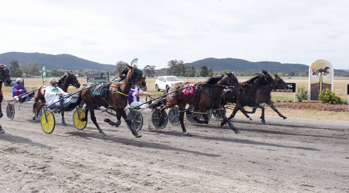 Major Comment, Redbank Cooper, Kanena Provlima and Hurricane Roy four abreast as they cross the finish line in the $30,000 2019 Canola Cup.