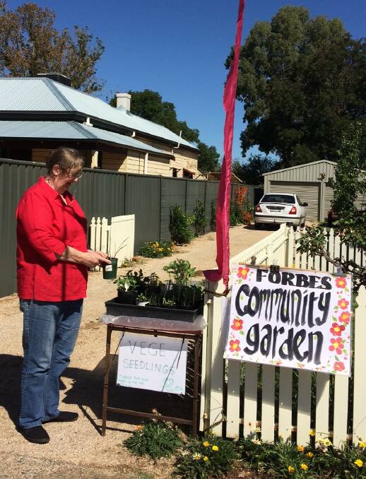 A customer picks up some seedlings at the Community Garden's pop-up shop. Photo supplied.