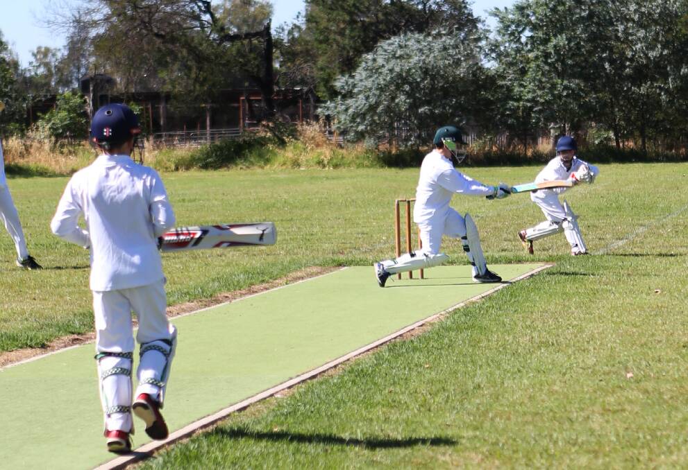 Junior cricket started last weekend. File photo. 