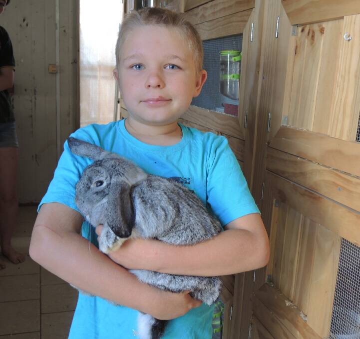 Riley Pout and his family are taking all precautions to protect their rabbits from the new virus including vaccinating and keeping their beloved bunnies in a screened enclosure. 
