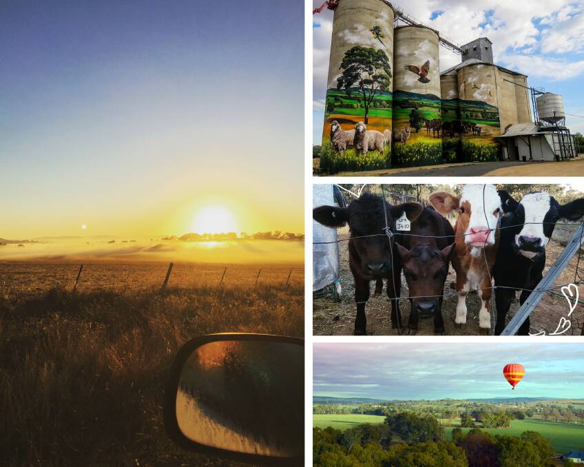 Some of the winning images of 2019 (clockwise from left) Sunrise at Riverside by Ella Gibson, Grenfell Silos by Helen Carpenter, Oh what's that? by Emily Murphy and Family Adventure by Doug Goninan. 