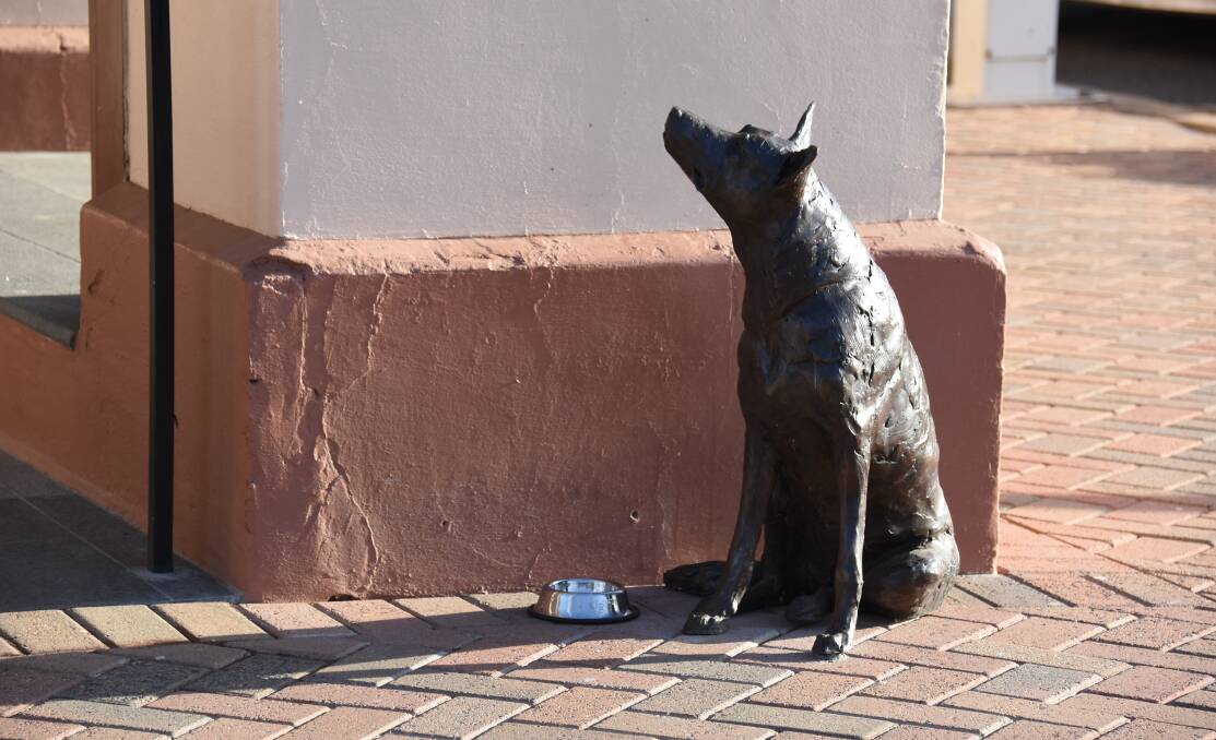 After public vote the kelpie on the Post Office corner has been named Rosa. The sculpture has become a favourite, appealing to passers-by for a pat. She's even been given a bowl! 