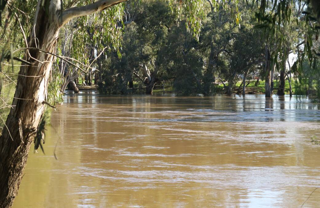 The Lachlan River to the banks near the Iron Bridge in Forbes in September.