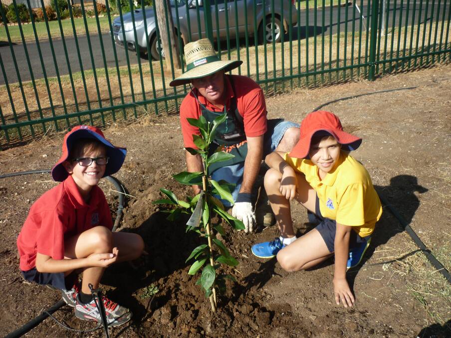 Lincoln Godden, Steven McLean and Preston Thorpe at the 2015 schools tree-planting day. Join National Tree Day planting effort in Forbes this weekend.