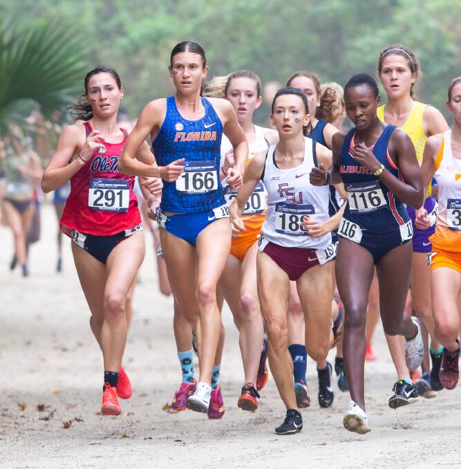 Jess Pascoe (second from left in blue) running in the NCAA South Region Cross Country Championships. Photo Taylor Jones, courtesy the UAA Communications Office.