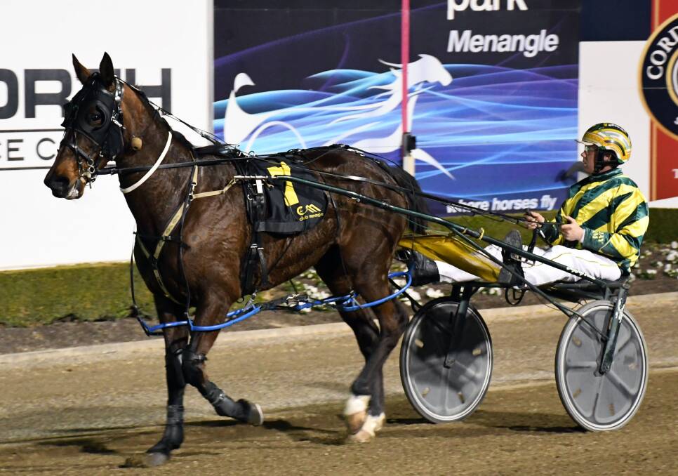 Rocknroll Angel took out the Ladyship Stakes at Menangle on Australia Day at odds of $106. Photo courtesy Harness Racing NSW.