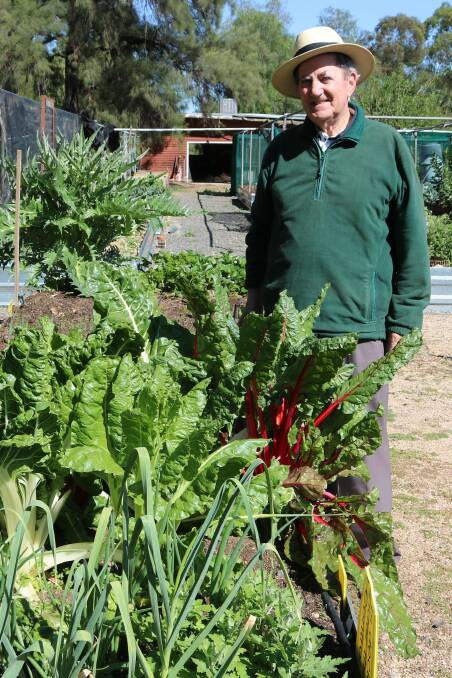 Leo Curran with his vegie garden at the community garden. Leo was one of the place getters in the 2017 vegetable garden competition.