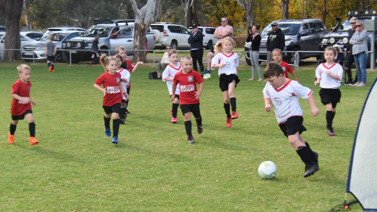 HAVE YOUR SAY: The Botanical Gardens is just one of the grounds our council is developing a masterplan for and it's used by hundreds of locals like Lucas Nikolic and his fellow under 6s soccer players.
