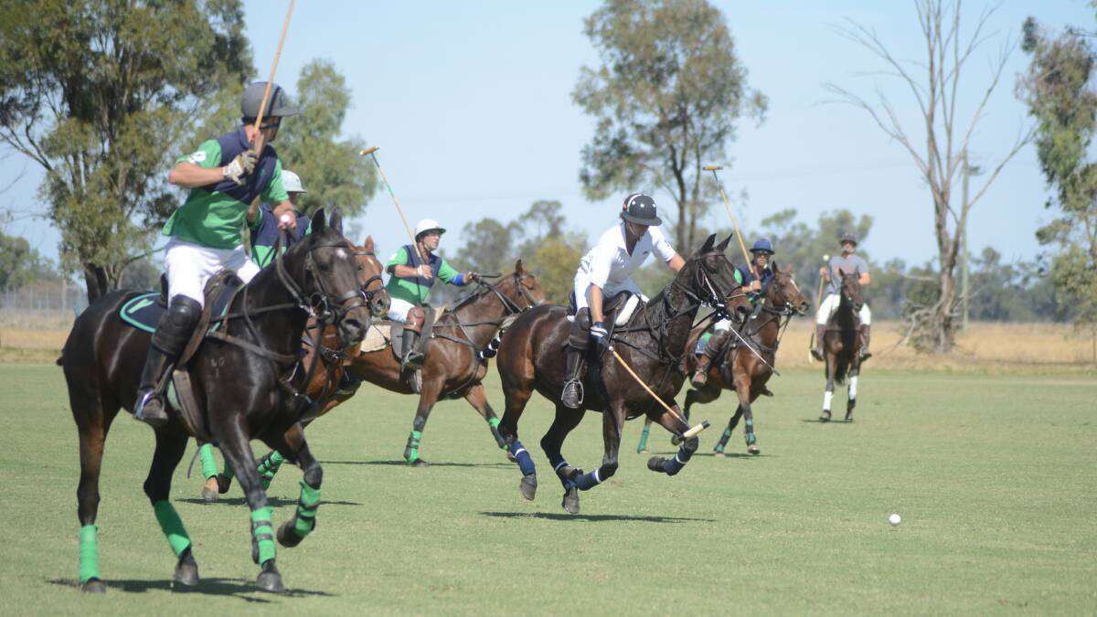 Polo at the Jemalong club in 2016. File photo. 