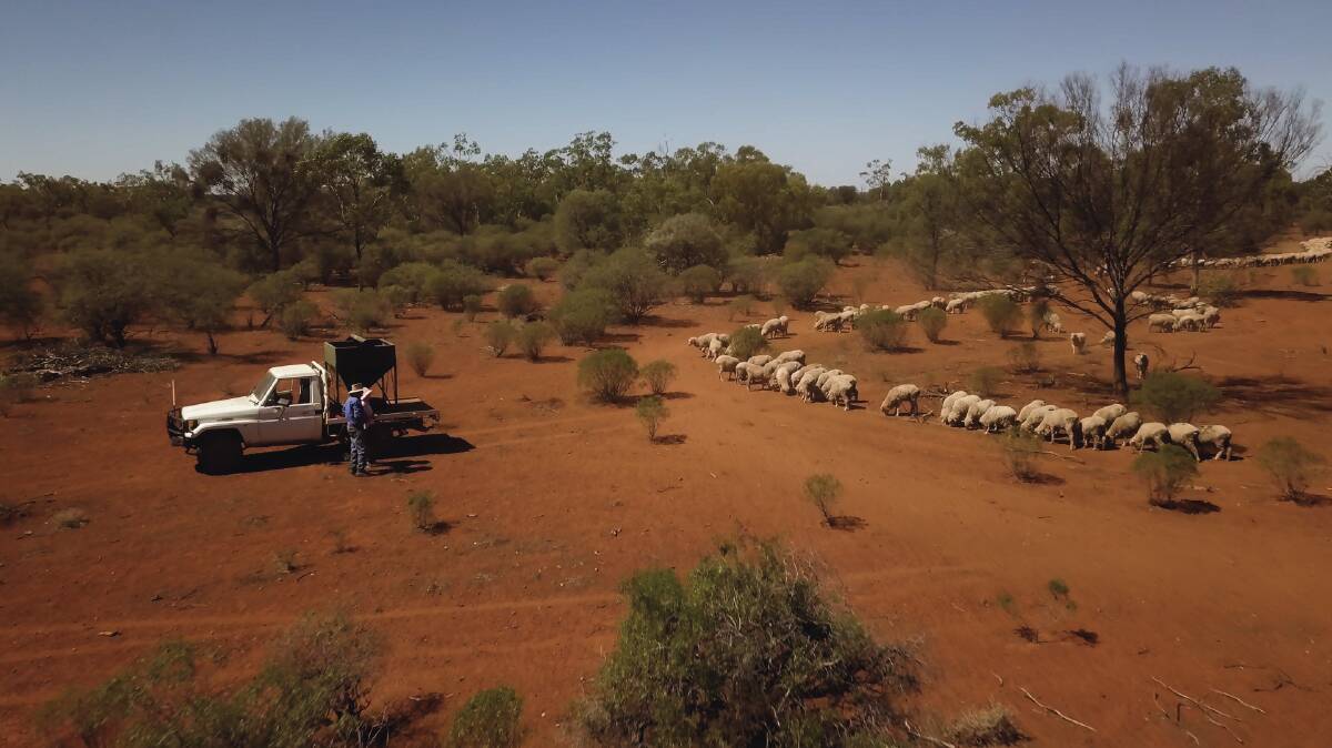 The drought's not over and our shire's farmers continue carting water and hand-feeding stock. Photo supplied.
