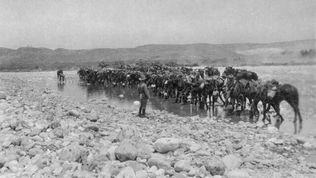 Esani, Palestine. c.1916 Light Horsemen watering their horses. Photo Australian War Memorial.