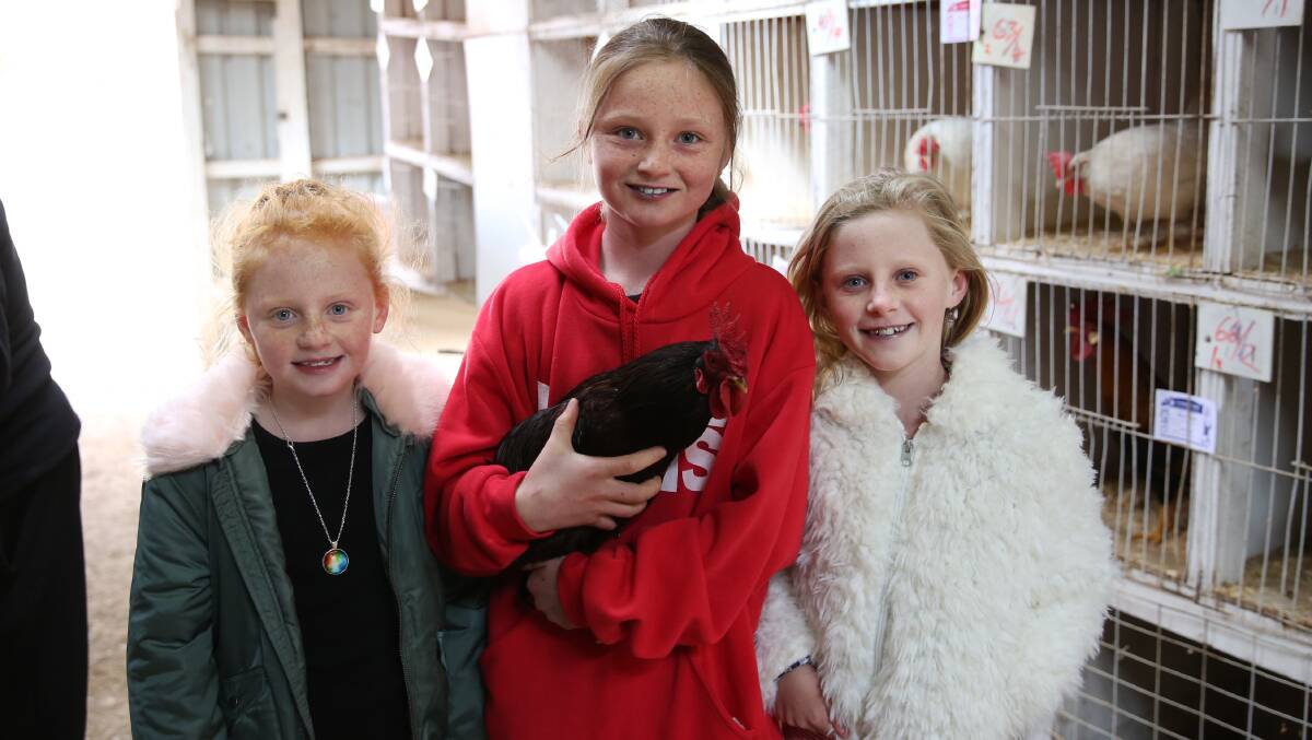 FORBES SHOW 2019: Zoe Clark, Phoebe Walker, Myah Clark were amongst the exhibitors in the poultry sections. Picture: FILE 