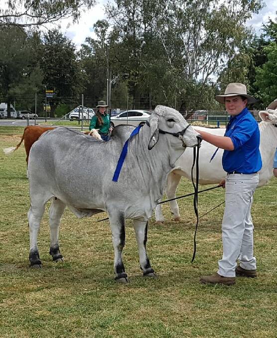 Kyle Bolam has qualified for the paraders competition at the 2018 Sydney Royal Easter Show.