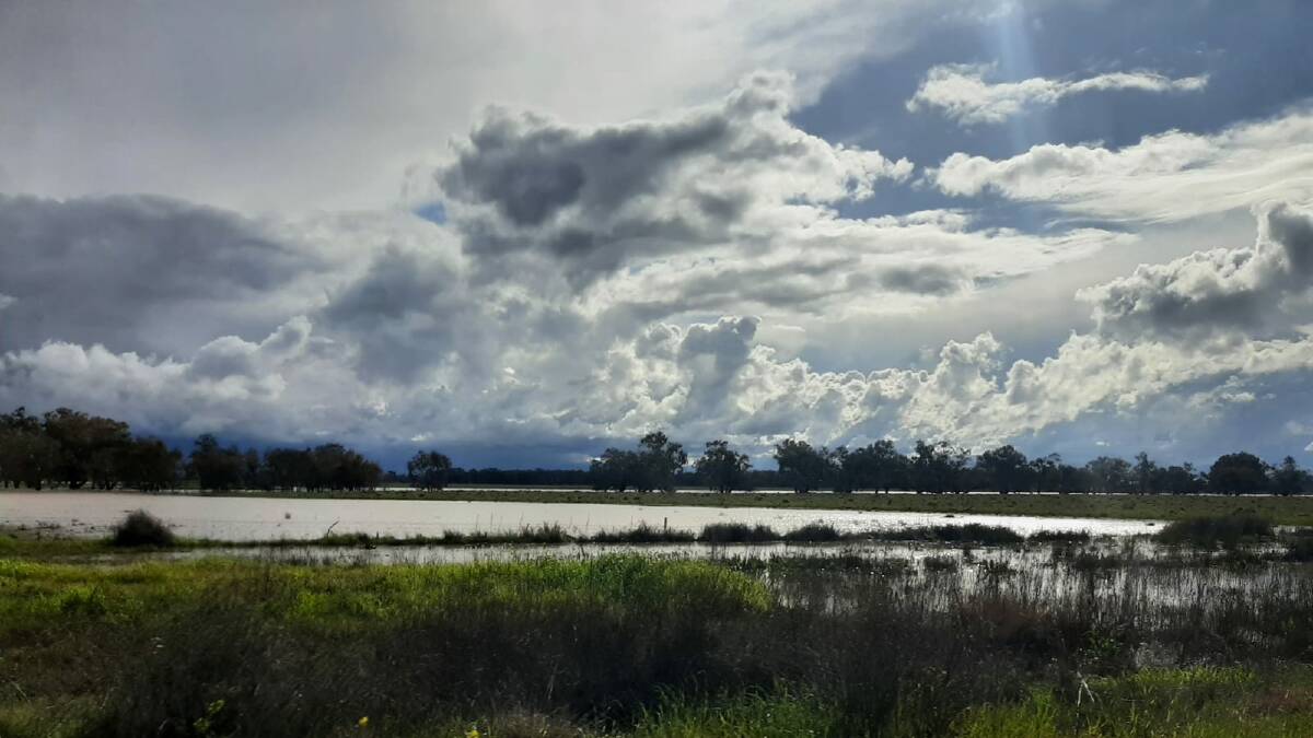 WATER ABOUT: Drivers travelling down the Newell Highway south of Forbes have water views. 