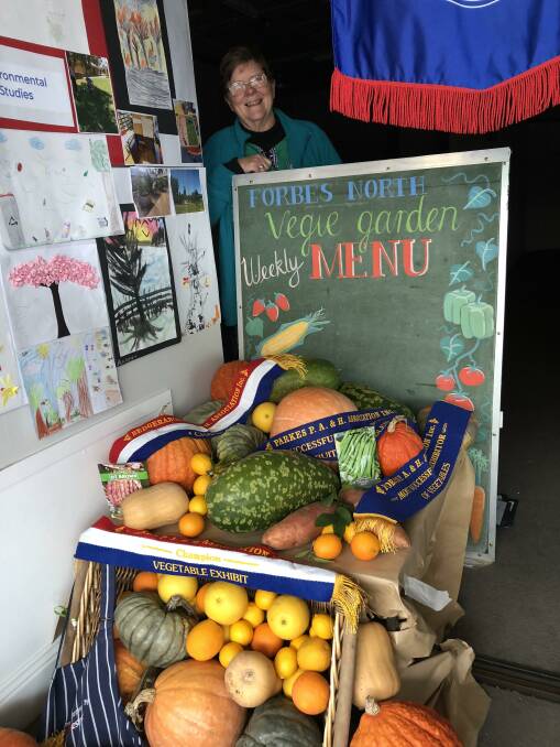 Sue-anne Nixon arranging some of the show-winning produce from Forbes North's kitchen garden in an empty window in Rankin Street.