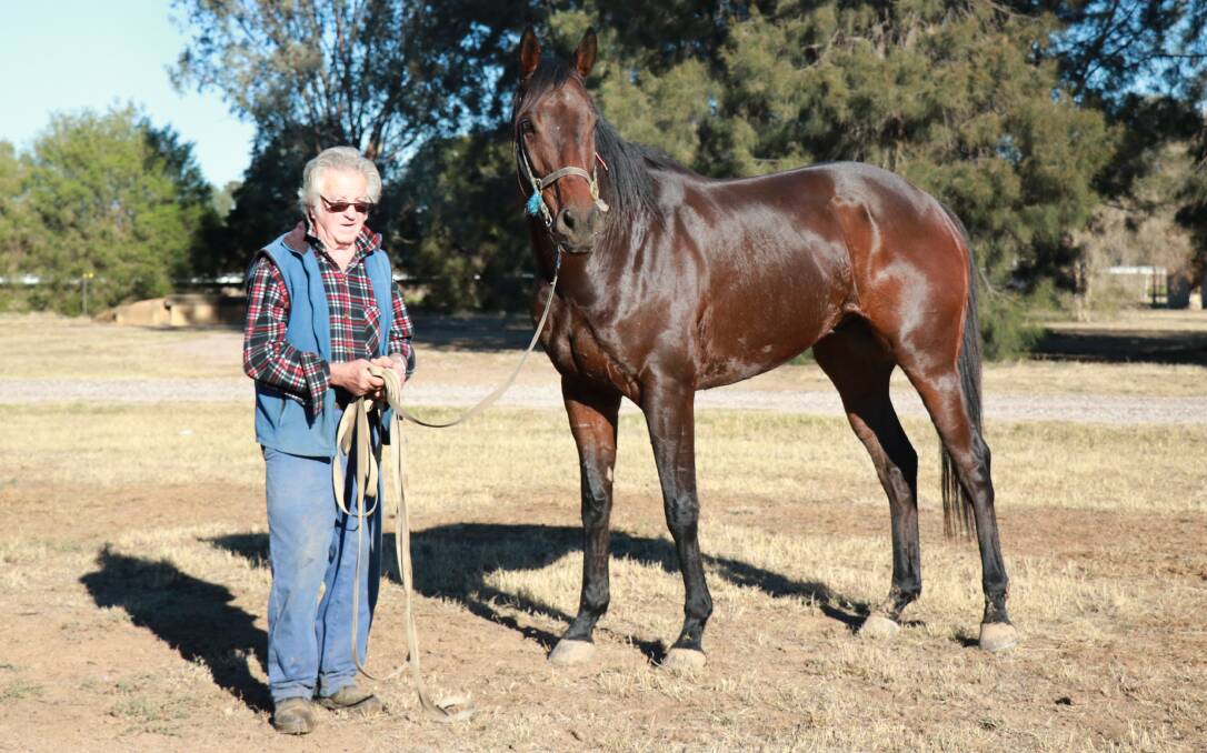 Barry Molloy with Caszar at the Forbes stables. 