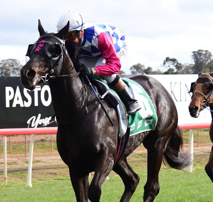 WINNING WAYS: Sneak Preview is back in the winning circle in Queensland for local connections. Picture: FILE, AMY MCINTYRE