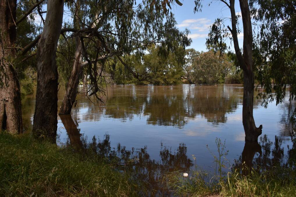 MONITOR THE SITUATION: The Lachlan River at Cottons Weir peaked in the minor flood range at 4.39m on Monday evening. Picture: FILE