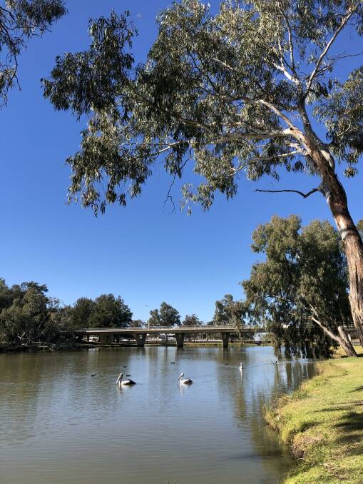 VALUE OF VIEW: Forbes Shire Council has resolved to prepare a policy position to ensure residents' views of Lake Forbes are not impacted by council development. Picture: FILE