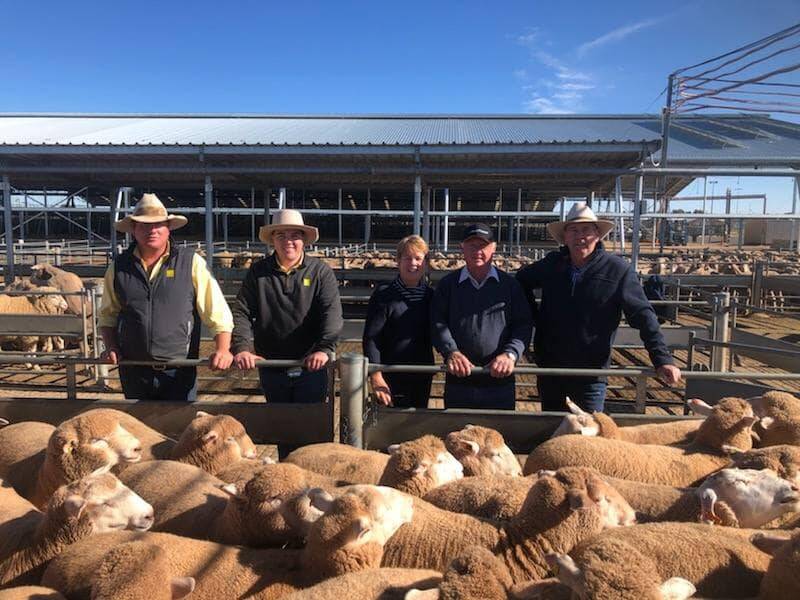 This pen of 55 lambs sold by VC Reid for KP / RL and R McMahon at $330 a head. Photo Central West Livestock Exchange.