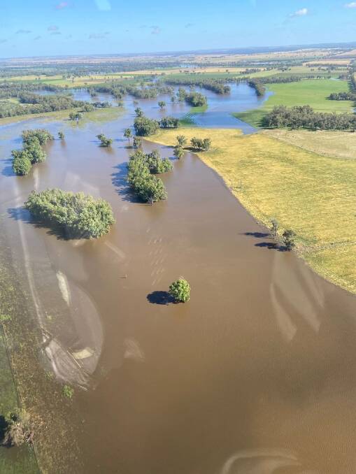 FROM THE AIR: Water lying on country around Forbes on Monday morning. Picture courtesy Michael McCormack's office