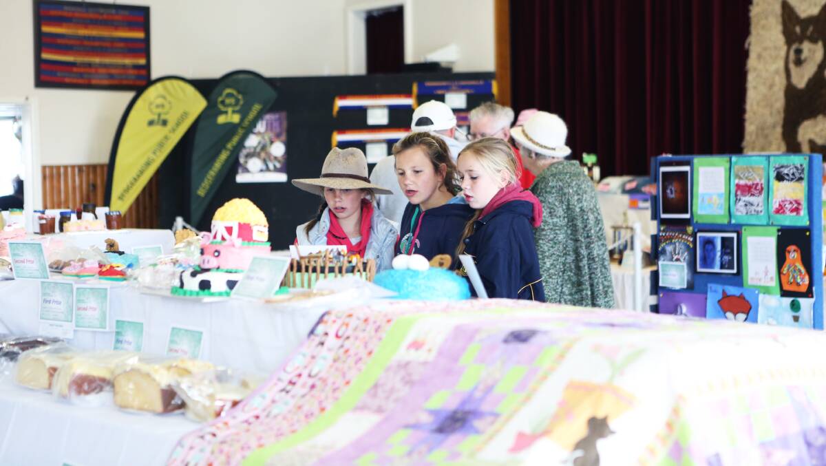 Young show-goers checking out the pavilion exhibits at the 2016 Bedgerabong Show.