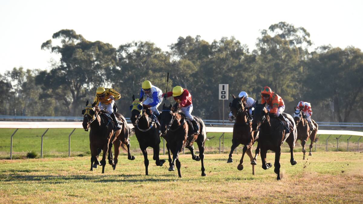 Steamin', with Greg Ryan aboard, powers through to lead them home in the 2019 Bankstown Sports Club Forbes Cup. 