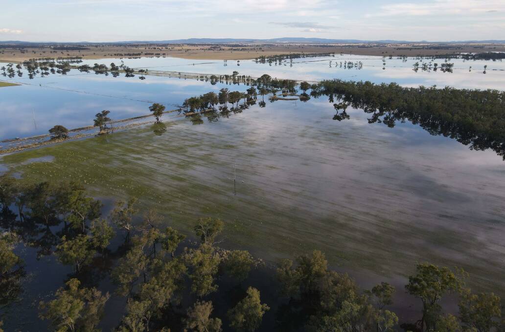 WE SHOULD BE HARVESTING: Bumper crops are inundated with water. Picture: Jess Schofield.