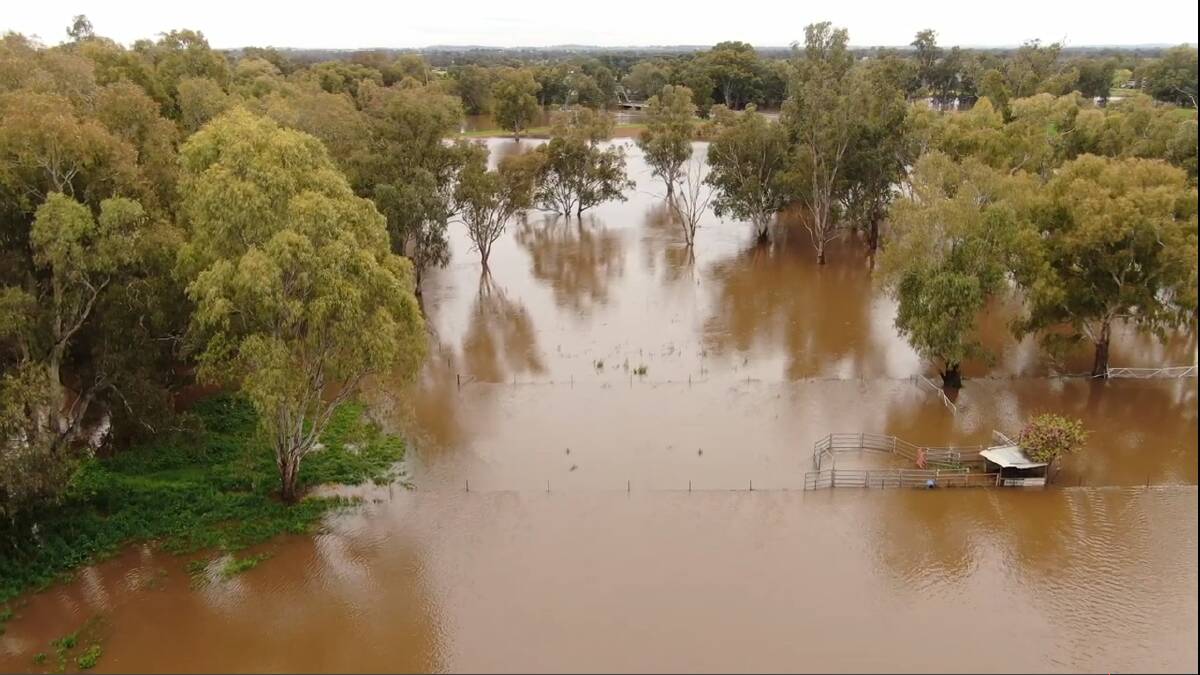 It's been wet, wet, wet since January 2020. Picture from NSW SES footage over Forbes