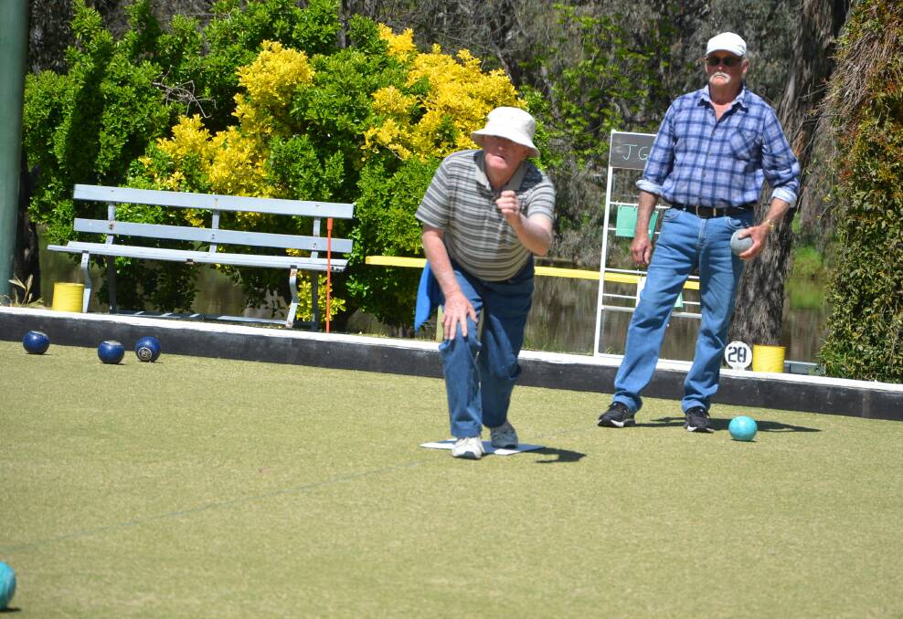 John Gorton and Lyall Strudwick have their eyes on the bowl on a sunny Wednesday morning on the greens.