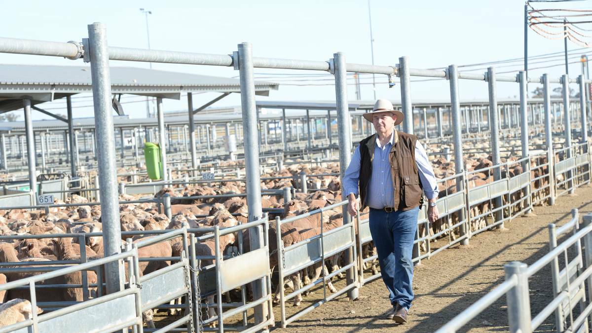 Council's General Manager Steve Loane at the Central West Livestock Exchange. Photo The Land.