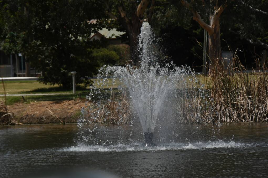 NEW LOOK: The new fountains in Lake Forbes are more energy efficient and can be lit in different colours of an evening. 