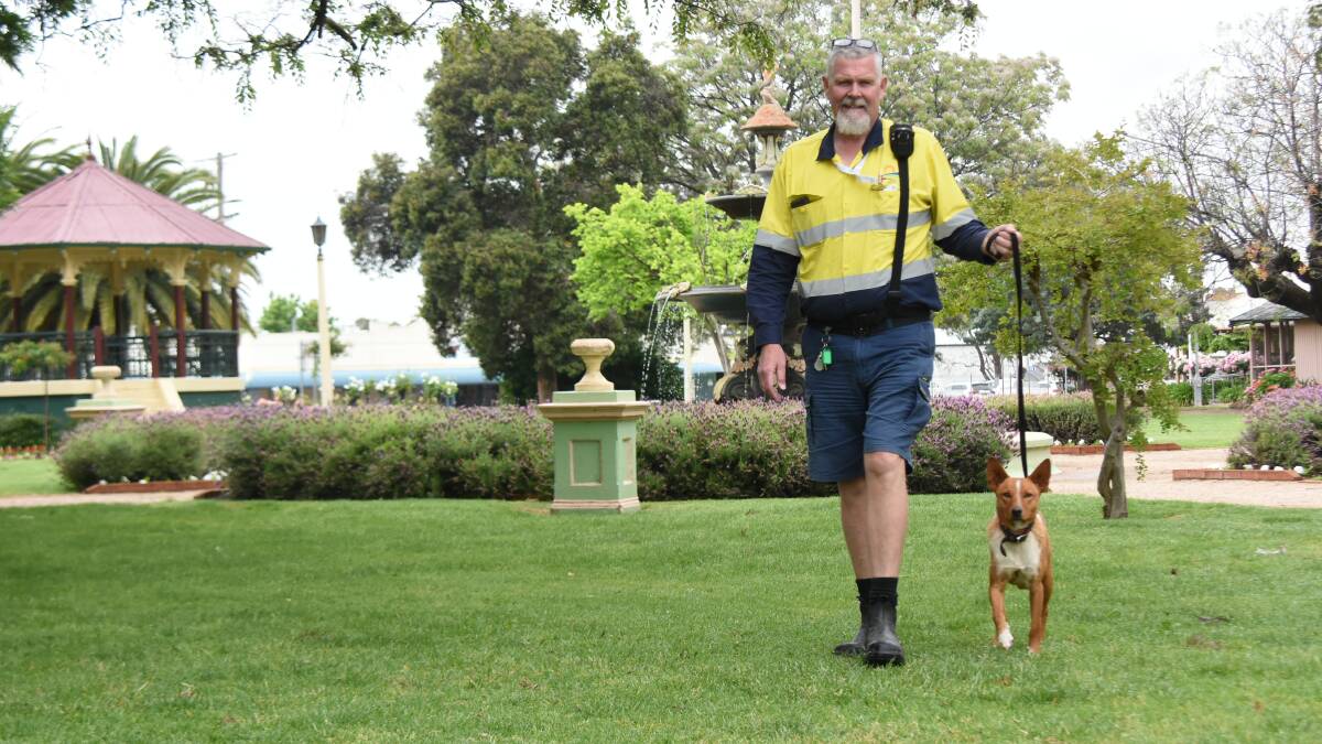 GOOD DOG: Ranger Matt Wallis taking the very well-behaved Rusty for a walk on the lead. 