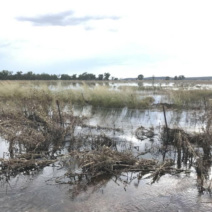 FLOOD DAMAGE: Water is still lying across the Darcy family's Bedgerabong property. Picture: Darcy family