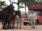 The late Wilf Norris OAM with his beloved horses. Picture by Renee Powell
