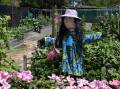 Forbes Riverside Community Gardens' open day and scarecrow competition return March 17, 2024. File picture