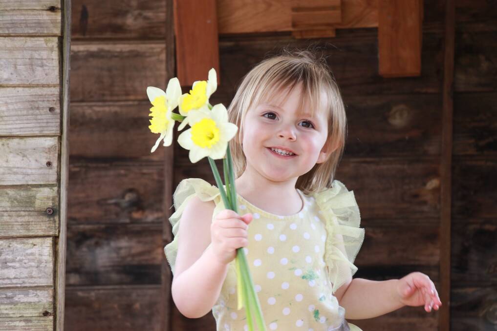 Emerald Orr is brightening up our day with these beautiful daffodils from the garden.