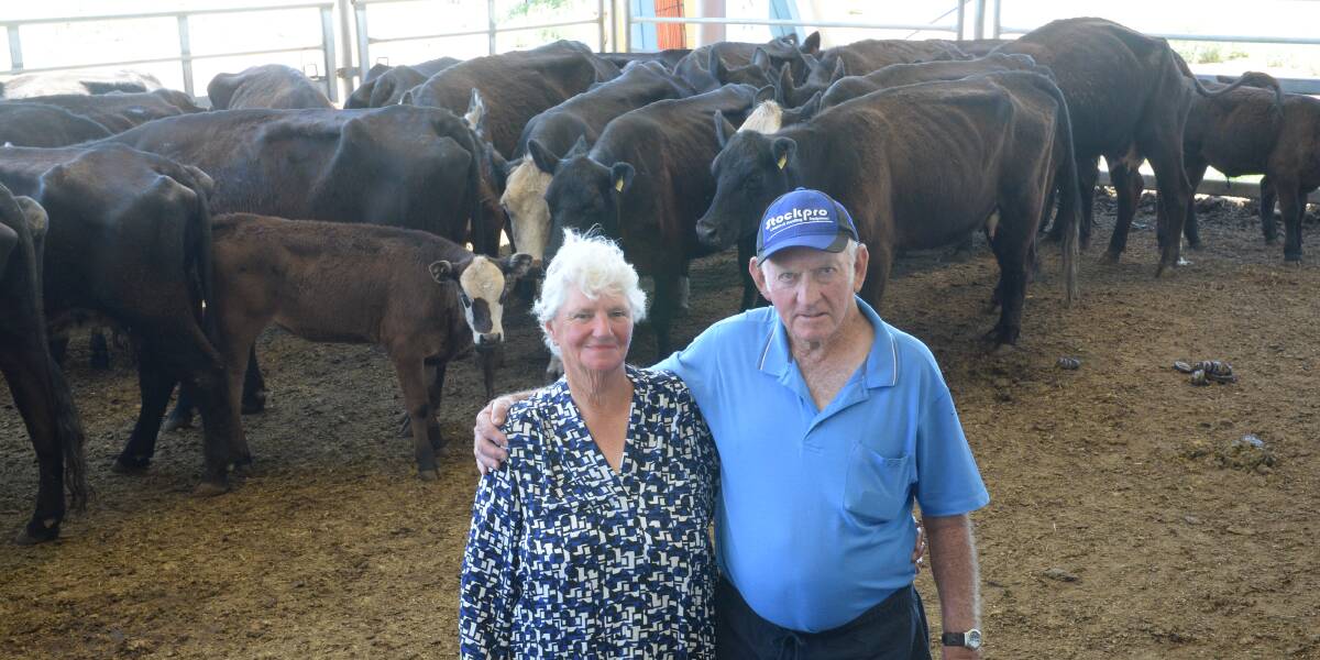 Glenda and Jeff Bowerman, "Lanea", Gooloogong, with some of their 30 Santa Gertrudis/Angus cross mixed-age cows with Angus-cross calves at foot selling to $1770.