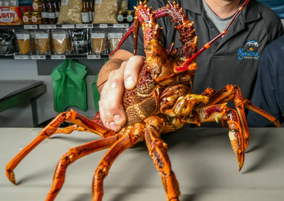 BUY LOCAL: The industry is urging Tasmanians and Tasmanian restaurants to buy Tasmanian seafood as the industry grapples with China clopsing its imports. Picture: Phillip Biggs 