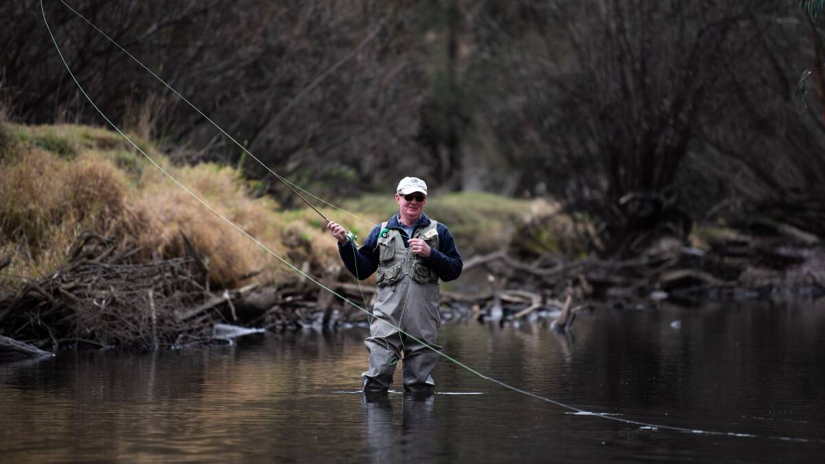 While away the day in the Tumut River.