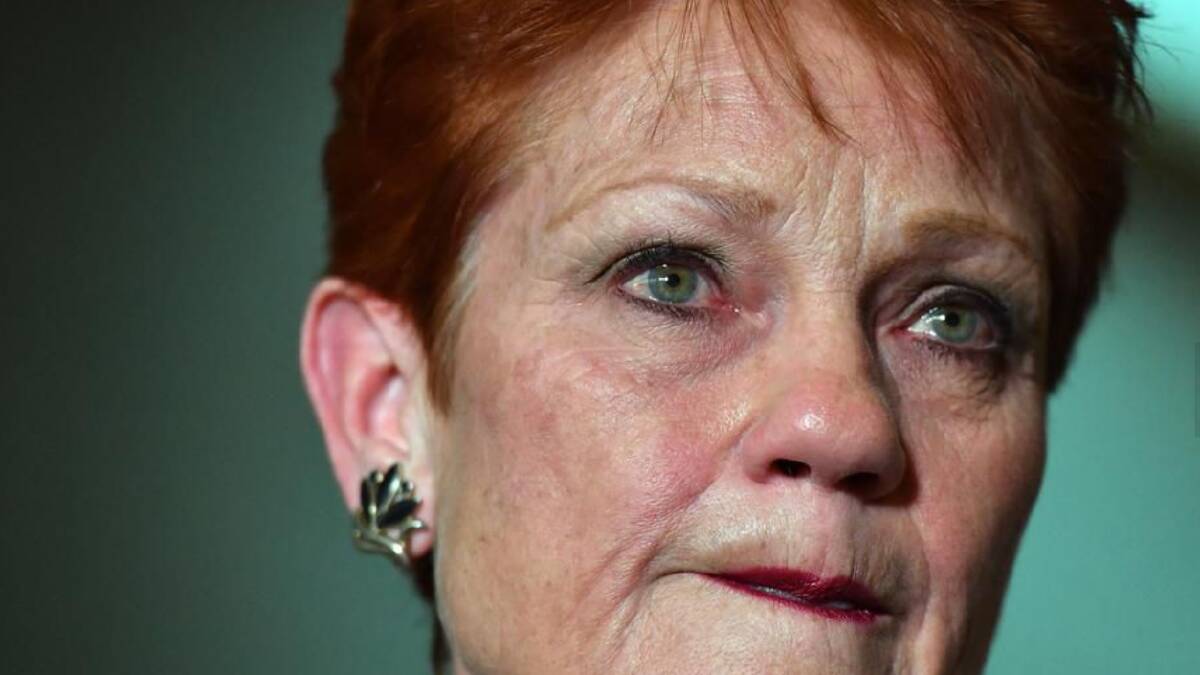 Pauline Hanson says journalistic credentials need to be toughened up.
