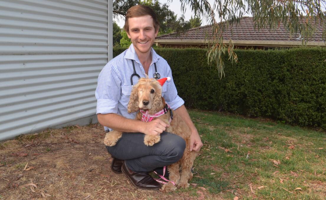 Dr Ryan Lane from Orange Vet Hospital pictured with Inka, aka Binky, will be helping pet owners in Parkes next month. File picture 