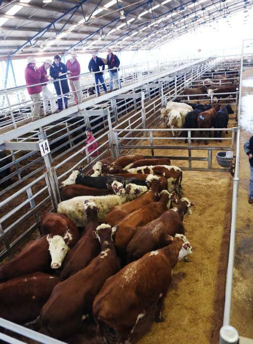 Livestock exchange to give farmers an inspection hour