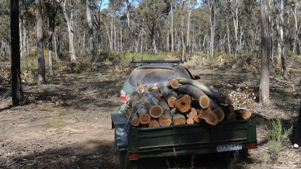 Heavy fines for illegal firewood collection