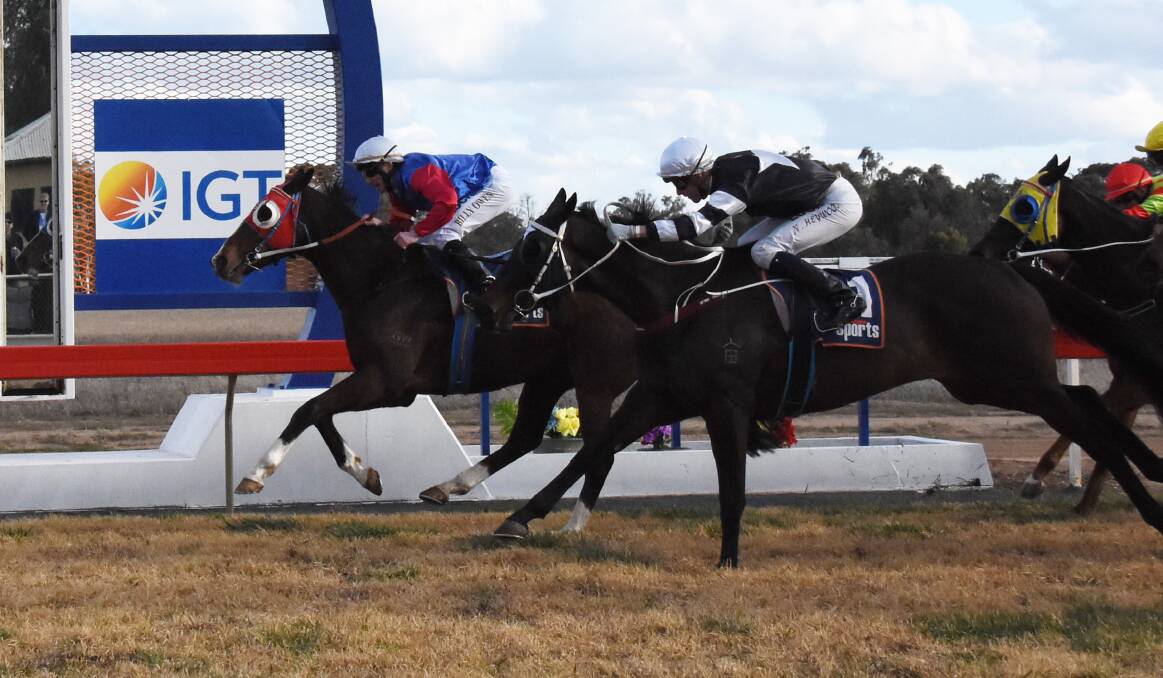 CHAMPION: Billy Owen steers Willy White Socks to victory on Monday, the second cup win in a row for trainer Trevor Sutherland. Photo: RENEE POWELL